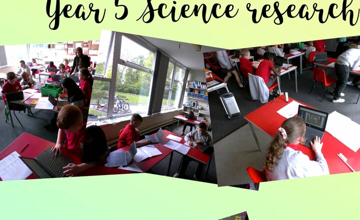 Image of Year 5 Science - Researching Life Cycles